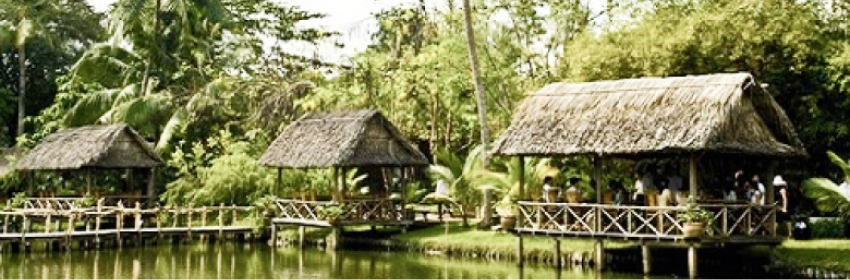 binh-quoi
